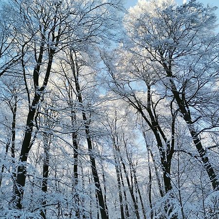Вілла "Casita Linda "Am Donnersberg Dannenfels Екстер'єр фото