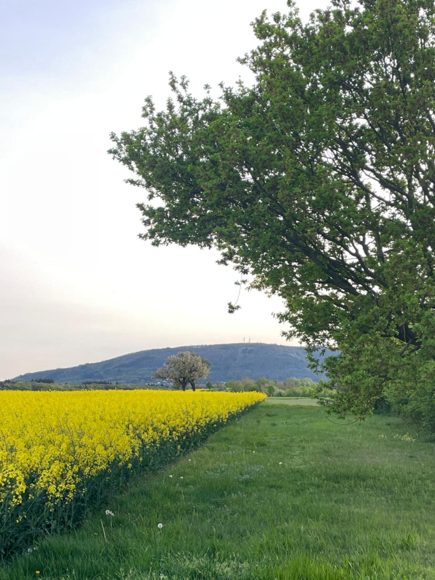 Вілла "Casita Linda "Am Donnersberg Dannenfels Екстер'єр фото