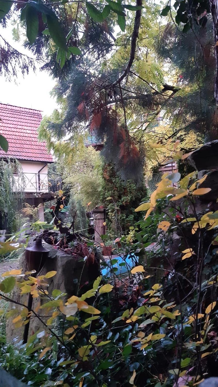 Вілла "Casita Linda "Am Donnersberg Dannenfels Екстер'єр фото