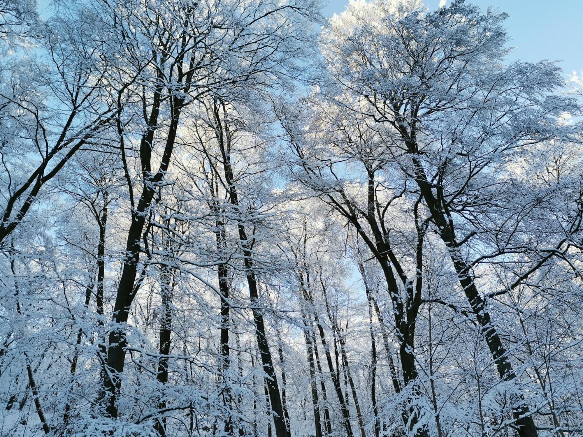 Вілла "Casita Linda "Am Donnersberg Dannenfels Екстер'єр фото